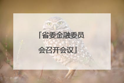 省委金融委员会召开会议