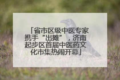 省市区级中医专家携手“出摊”，济南起步区首届中医药文化市集热闹开幕