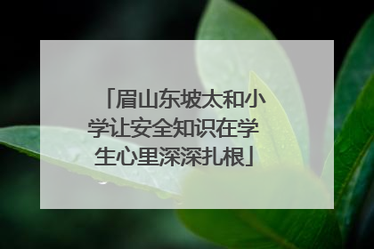 眉山东坡太和小学让安全知识在学生心里深深扎根