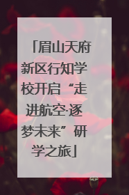 眉山天府新区行知学校开启“走进航空·逐梦未来”研学之旅