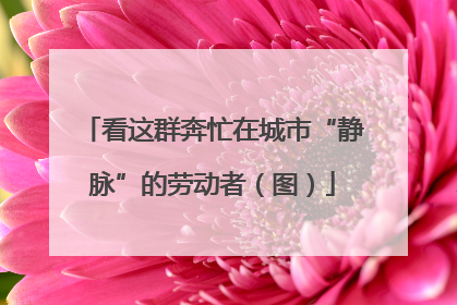 看这群奔忙在城市“静脉”的劳动者（图）