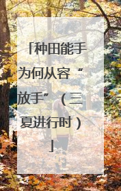 种田能手为何从容“放手”（三夏进行时）