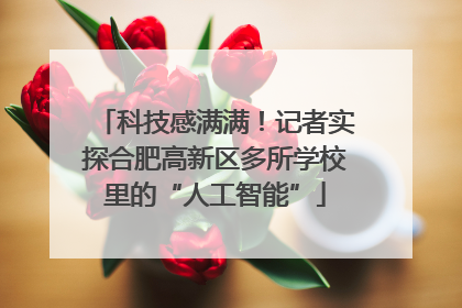 科技感满满！记者实探合肥高新区多所学校里的“人工智能”