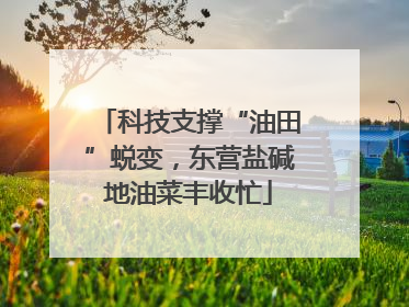 科技支撑“油田”蜕变，东营盐碱地油菜丰收忙