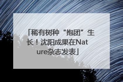 稀有树种“抱团”生长！沈阳成果在Nature杂志发表