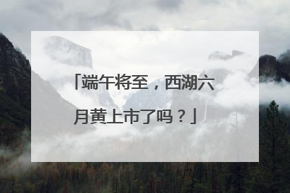 端午将至，西湖六月黄上市了吗？