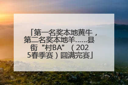 第一名奖本地黄牛，第二名奖本地羊……县街“村BA”（2025春季赛）圆满完赛