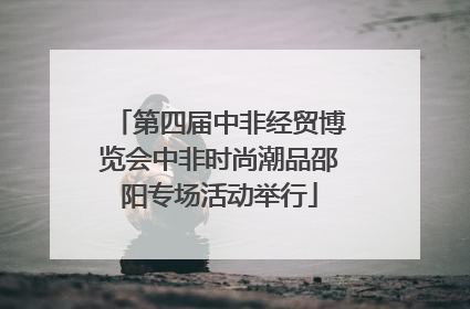第四届中非经贸博览会中非时尚潮品邵阳专场活动举行