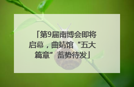 第9届南博会即将启幕，曲靖馆“五大篇章”蓄势待发