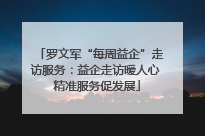 罗文军“每周益企”走访服务：益企走访暖人心 精准服务促发展
