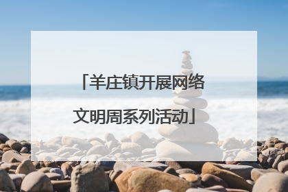 羊庄镇开展网络文明周系列活动