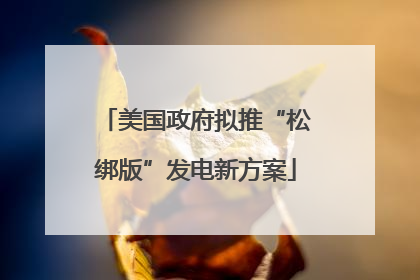 美国政府拟推“松绑版”发电新方案