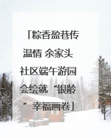 粽香盈巷传温情 余家头社区端午游园会绘就“银龄”幸福画卷