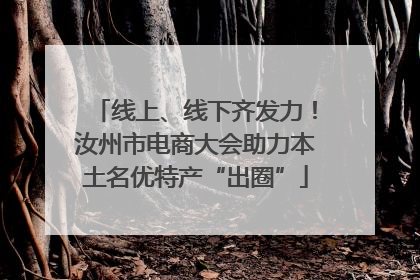 线上、线下齐发力！汝州市电商大会助力本土名优特产“出圈”