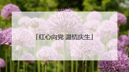 红心向党 温情庆生