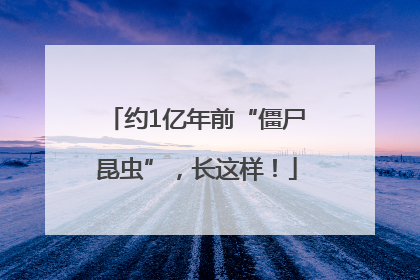 约1亿年前“僵尸昆虫”，长这样！