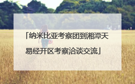 纳米比亚考察团到湘潭天易经开区考察洽谈交流