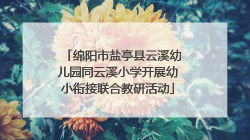 绵阳市盐亭县云溪幼儿园同云溪小学开展幼小衔接联合教研活动