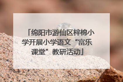 绵阳市游仙区梓棉小学开展小学语文“富乐课堂”教研活动