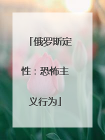 俄罗斯定性：恐怖主义行为