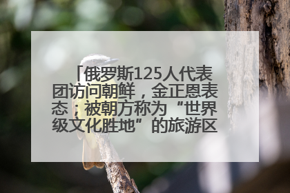 俄罗斯125人代表团访问朝鲜，金正恩表态；被朝方称为“世界级文化胜地”的旅游区，将首次接待俄游客