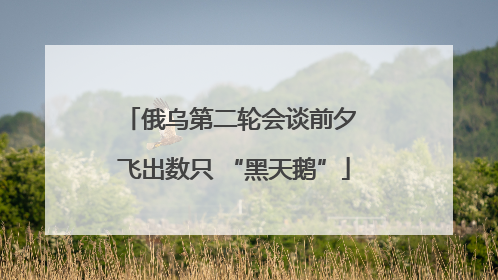 俄乌第二轮会谈前夕 飞出数只 “黑天鹅”
