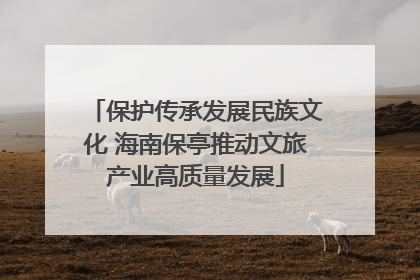 保护传承发展民族文化 海南保亭推动文旅产业高质量发展