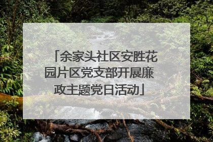 余家头社区安胜花园片区党支部开展廉政主题党日活动