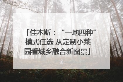 佳木斯：“一地四种” 模式任选 从定制小菜园看城乡融合新图景