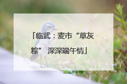 临武：麦市“草灰粽” 深深端午情