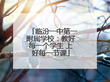 临汾一中第一附属学校：教好每一个学生 上好每一节课