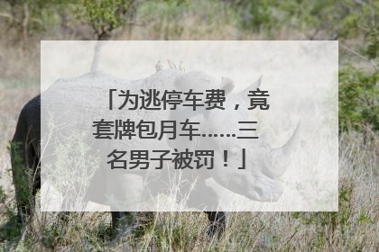 为逃停车费，竟套牌包月车……三名男子被罚！