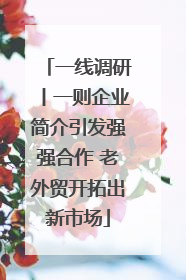 一线调研丨一则企业简介引发强强合作 老外贸开拓出新市场