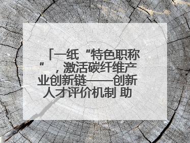 一纸“特色职称”，激活碳纤维产业创新链——创新人才评价机制 助推产业升级