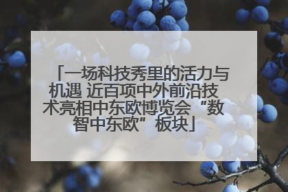 一场科技秀里的活力与机遇 近百项中外前沿技术亮相中东欧博览会“数智中东欧”板块