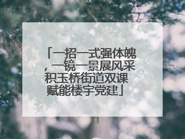 一招一式强体魄，一镜一景展风采 积玉桥街道双课赋能楼宇党建
