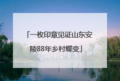 一枚印章见证山东安陵88年乡村蝶变