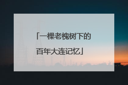 一棵老槐树下的百年大连记忆