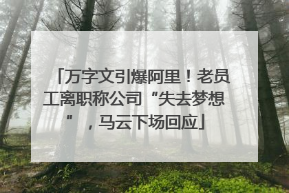 万字文引爆阿里！老员工离职称公司“失去梦想”，马云下场回应