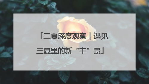 三夏深度观察｜遇见三夏里的新“丰”景