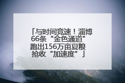 与时间竞速！淄博66条“金色通道”跑出156万亩夏粮抢收“加速度”