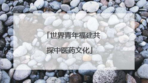 世界青年福建共探中医药文化