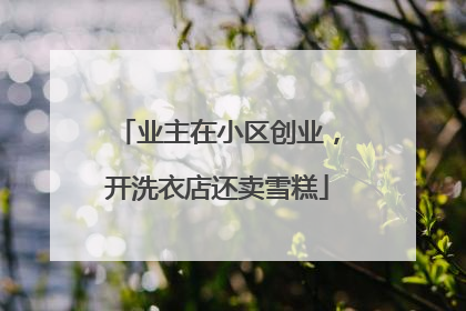 业主在小区创业，开洗衣店还卖雪糕