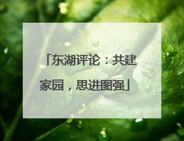 东湖评论：共建家园，思进图强