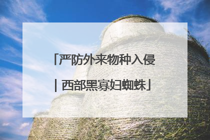 严防外来物种入侵｜西部黑寡妇蜘蛛