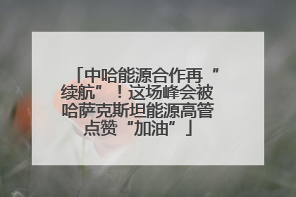 中哈能源合作再“续航”！这场峰会被哈萨克斯坦能源高管点赞“加油”