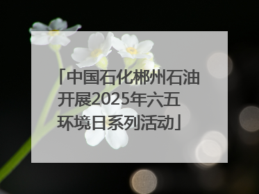 中国石化郴州石油开展2025年六五环境日系列活动