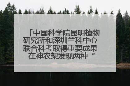 中国科学院昆明植物研究所和深圳兰科中心联合科考取得重要成果 在神农架发现两种“国保”级兰花