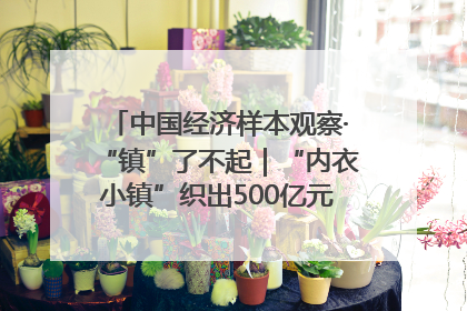 中国经济样本观察·“镇”了不起｜“内衣小镇”织出500亿元“里子产业”