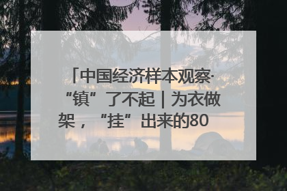 中国经济样本观察·“镇”了不起｜为衣做架，“挂”出来的80亿元“衣架产业”